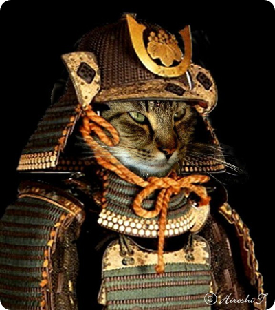 Samurai Cat 13 by Hiroshi | Awaiting Attribution Information